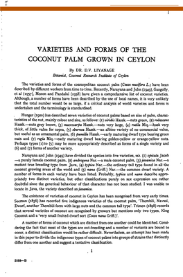 Varieties and Forms of the Coconut Palm Grown in Ceylon