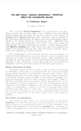 COCCUS HESPERIDUM ) INFESTING Holly on VANCOUVER ISLAND