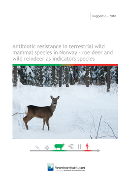 Antibiotic Resistance in Terrestrial Wild Mammal Species in Norway - Roe Deer and Wild Reindeer As Indicators Species