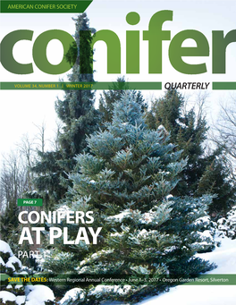 Conifers at Play Part 1