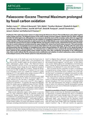 Palaeocene–Eocene Thermal Maximum Prolonged by Fossil Carbon Oxidation