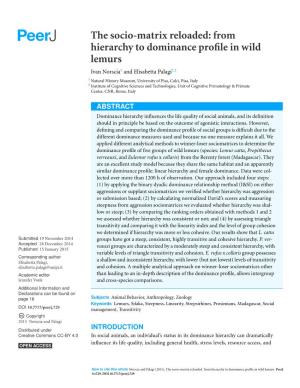 From Hierarchy to Dominance Profile in Wild Lemurs