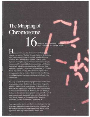 The Mapping of Chromosome 16
