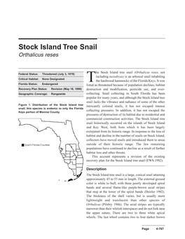 The Stock Island Tree Snail (Orthalicus Reses