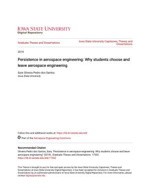Persistence in Aerospace Engineering: Why Students Choose and Leave Aerospace Engineering