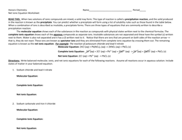 Net Ionic Equation Worksheet Answers