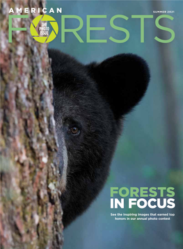 FORESTS in FOCUS See the Inspiring Images That Earned Top Honors in Our Annual Photo Contest LET FORESTS BE YOUR LEGACY with a GIFT THAT COSTS YOU NOTHING NOW