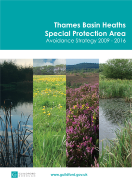 Thames Basin Heaths Special Protection Area Avoidance Strategy 2009 – 2014’