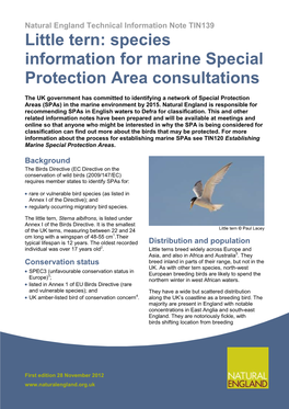 Little Tern: Species Information for Marine Special Protection Area Consultations