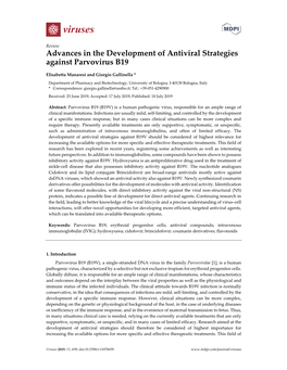 Advances in the Development of Antiviral Strategies Against Parvovirus B19