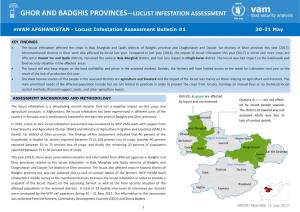 Ghor and Badghis Provinces—Locust Infestation Assessment