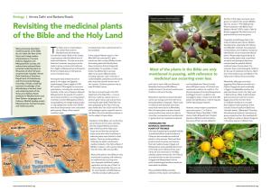 Revisiting the Medicinal Plants of the Bible and the Holy Land