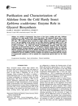 Epiblema Scudderiana: Enzyme Role in Glycerol Biosynthesis CLARK P