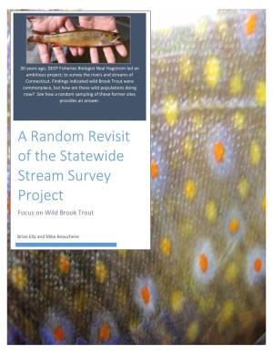 A Random Revisit of the Statewide Stream Survey Project: a Focus on Wild Brook Trout