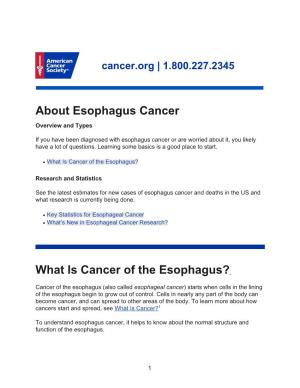 Esophagus Cancer Overview and Types