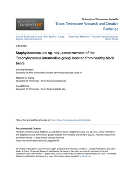 Staphylococcus Intermedius Group’ Isolated from Healthy Black Bears