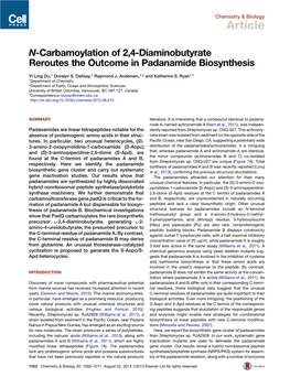 N-Carbamoylation of 2,4-Diaminobutyrate Reroutes the Outcome in Padanamide Biosynthesis