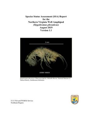 Report for the Northern Virginia Well Amphipod (Stygobromus Phreaticus) August 2019 Version 1.1