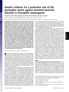 Genetic Evidence for a Protective Role of the Peritrophic Matrix Against Intestinal Bacterial Infection in Drosophila Melanogaster