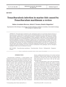Tenacibaculosis Infection in Marine Fish Caused by Tenacibaculum Maritimum: a Review