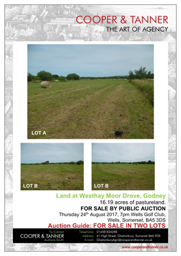 Land at Westhay Moor Drove, Godney Auction Guide