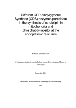 CDS) Enzymes Participate in the Synthesis of Cardiolipin in Mitochondria and Phosphatidylinositol at The