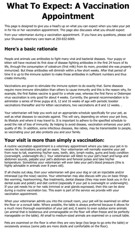 A Vaccination Appointment