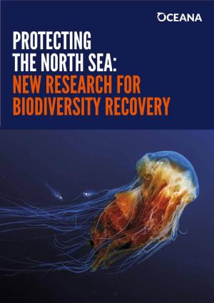 Protecting the North Sea: New Research for Biodiversity Recovery Protecting the North Sea: New Research for Biodiversity Recovery