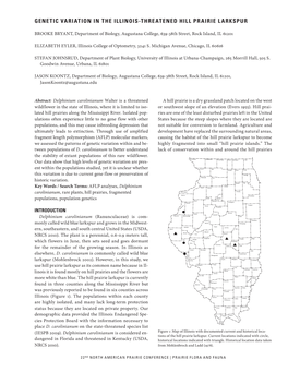 Genetic Variation in the Illinois-Threatened Hill Prairie Larkspur