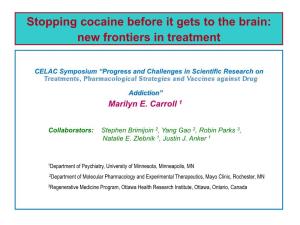 Stopping Cocaine Before It Gets to the Brain: New Frontiers in Treatment