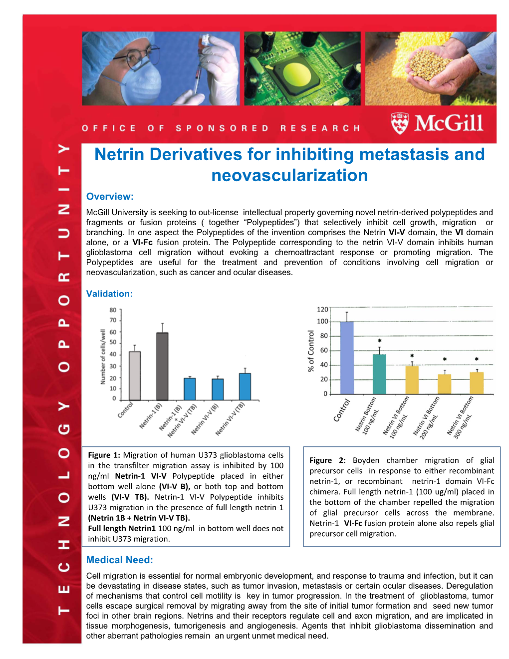 Netrin Derivatives for Inhibiting Metastasis and Neovascularization