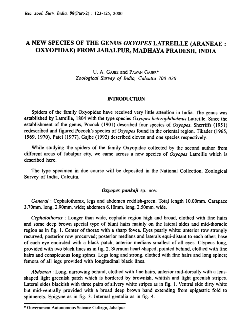 A New Species of the Genus Oxyopes Latreille (Araneae : Oxyopidae) from Jabalpur, Madhaya Pradesh, India