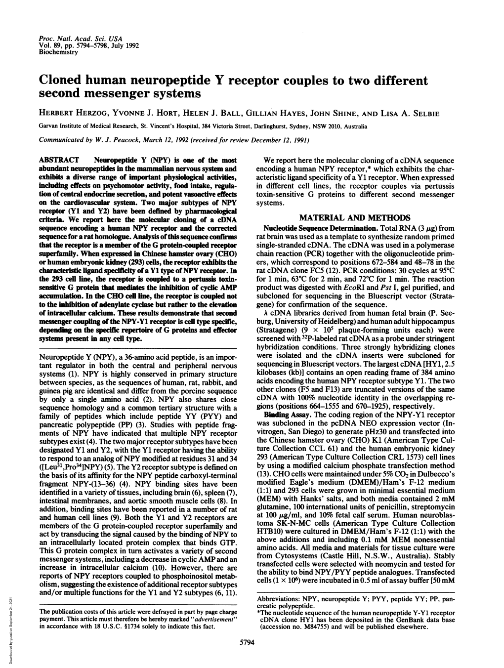 Cloned Human Neuropeptide Y Receptor Couples to Two Different Second Messenger Systems HERBERT HERZOG, YVONNE J