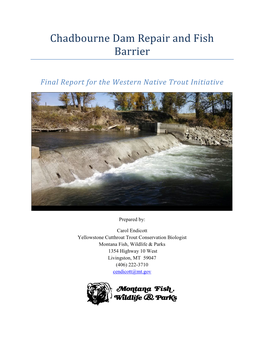 Chadbourne Dam Repair and Fish Barrier
