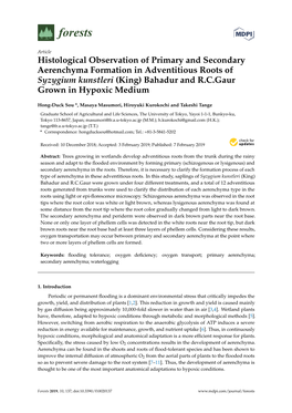 Histological Observation of Primary and Secondary Aerenchyma Formation in Adventitious Roots of Syzygium Kunstleri (King) Bahadur and R.C.Gaur Grown in Hypoxic Medium