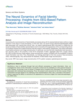 Insights from EEG-Based Pattern Analysis and Image Reconstruction