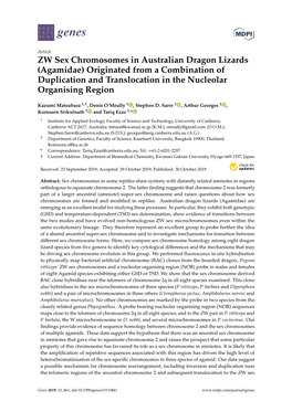 ZW Sex Chromosomes in Australian Dragon Lizards (Agamidae) Originated from a Combination of Duplication and Translocation in the Nucleolar Organising Region