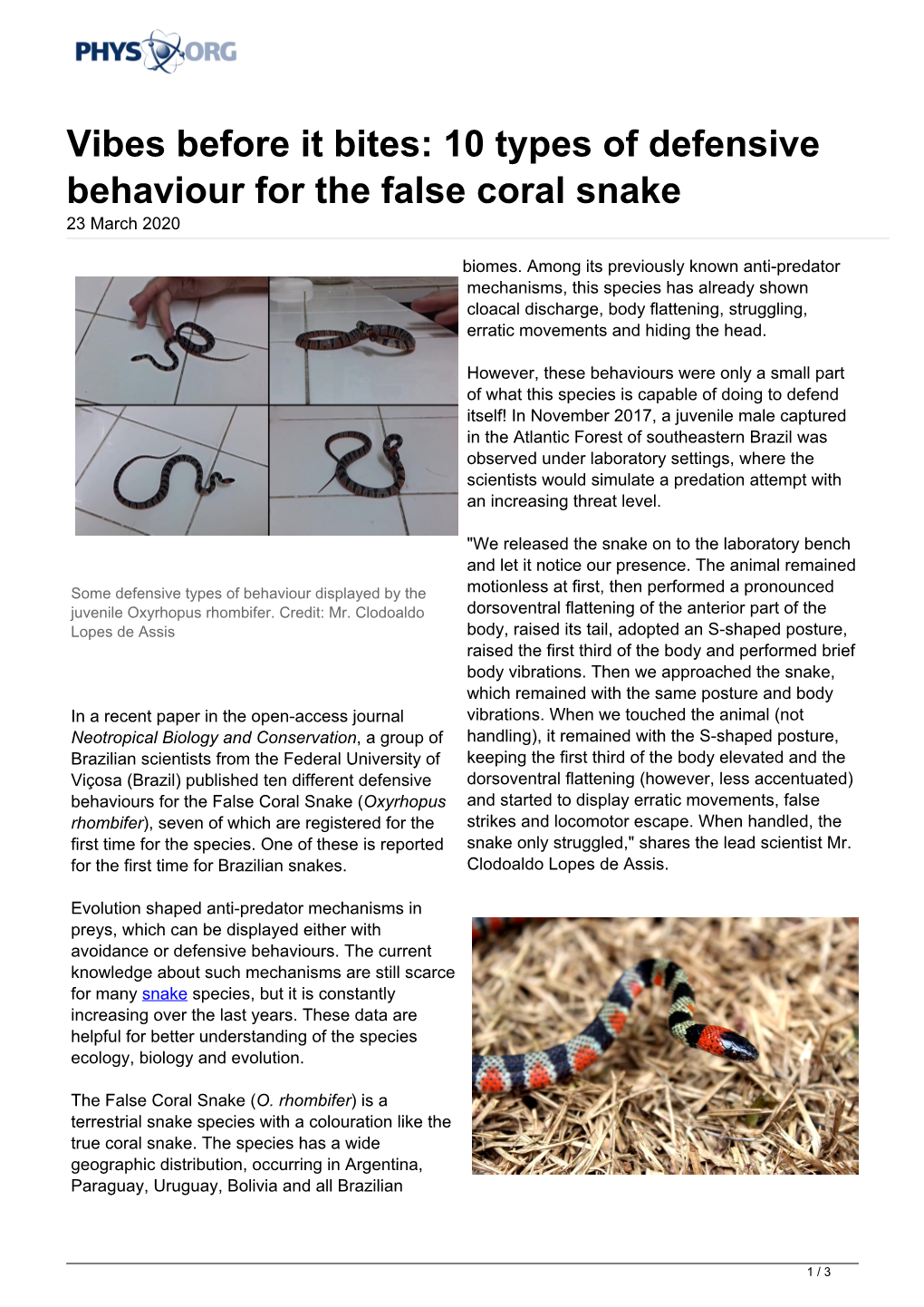 10 Types of Defensive Behaviour for the False Coral Snake 23 March 2020