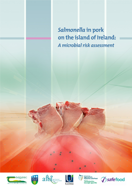 Salmonella in Pork on the Island of Ireland: a Microbial Risk Assessment