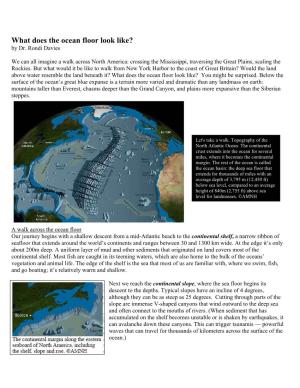 What Does the Ocean Floor Look Like? by Dr