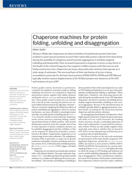 Chaperone Machines for Protein Folding, Unfolding and Disaggregation