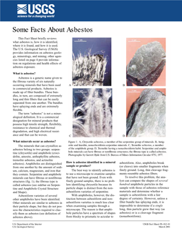 Some Facts About Asbestos