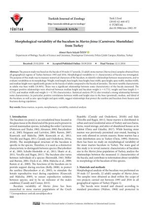 Morphological Variability of the Baculum in Martes Foina (Carnivora: Mustelidae) from Turkey