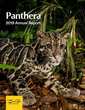 2019 Annual Report Panthera’S Mission Is to Ensure a Future for Wild Cats and the Vast Landscapes on Which They Depend