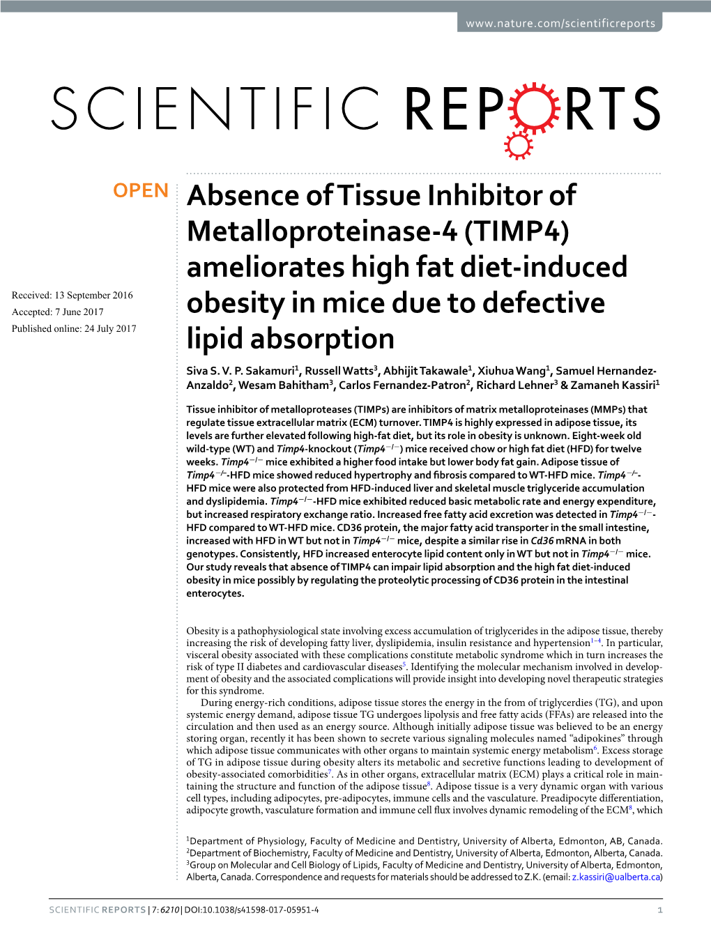 Absence of Tissue Inhibitor of Metalloproteinase-4 (TIMP4
