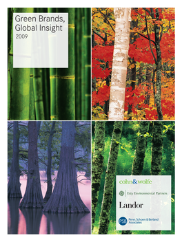 Green Brands, Global Insight 2009