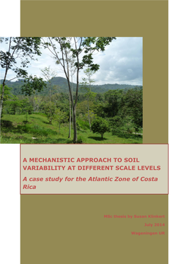 A Mechanistic Approach to Soil Variability at Different Scale Levels