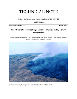 Fuel Breaks to Reduce Large Wildfire Impacts in Sagebrush Ecosystems