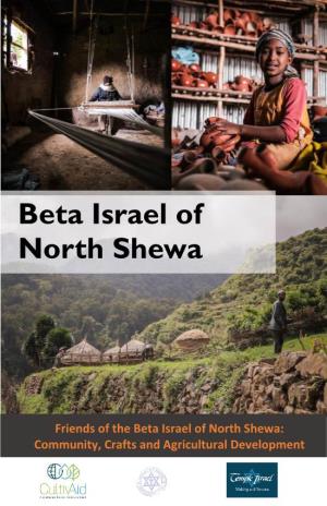 Friends of the Beta Israel of North Shewa: Community, Crafts and Agricultural Development