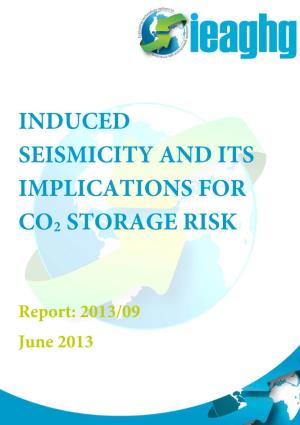 Induced Seismicity and Its Implications for Co2 Storage Risk